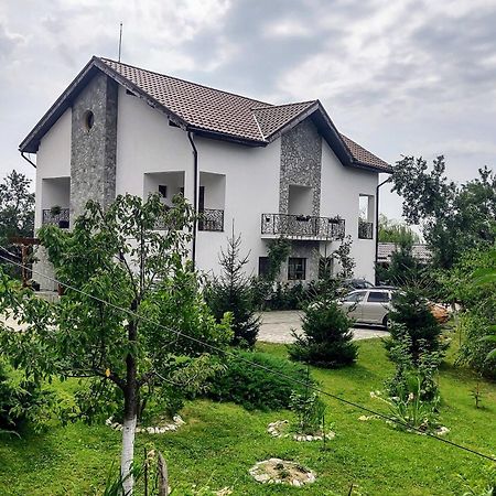 Pensiunea Codruta Cărpinişu Exteriör bild
