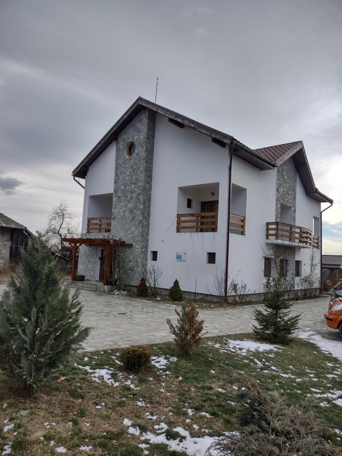 Pensiunea Codruta Cărpinişu Exteriör bild