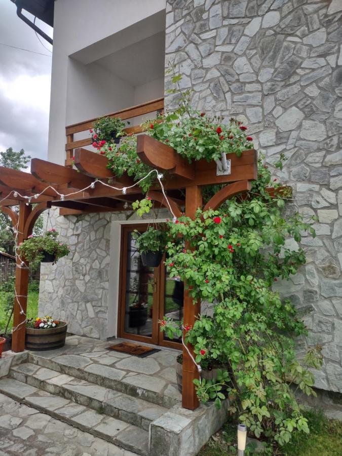 Pensiunea Codruta Cărpinişu Exteriör bild