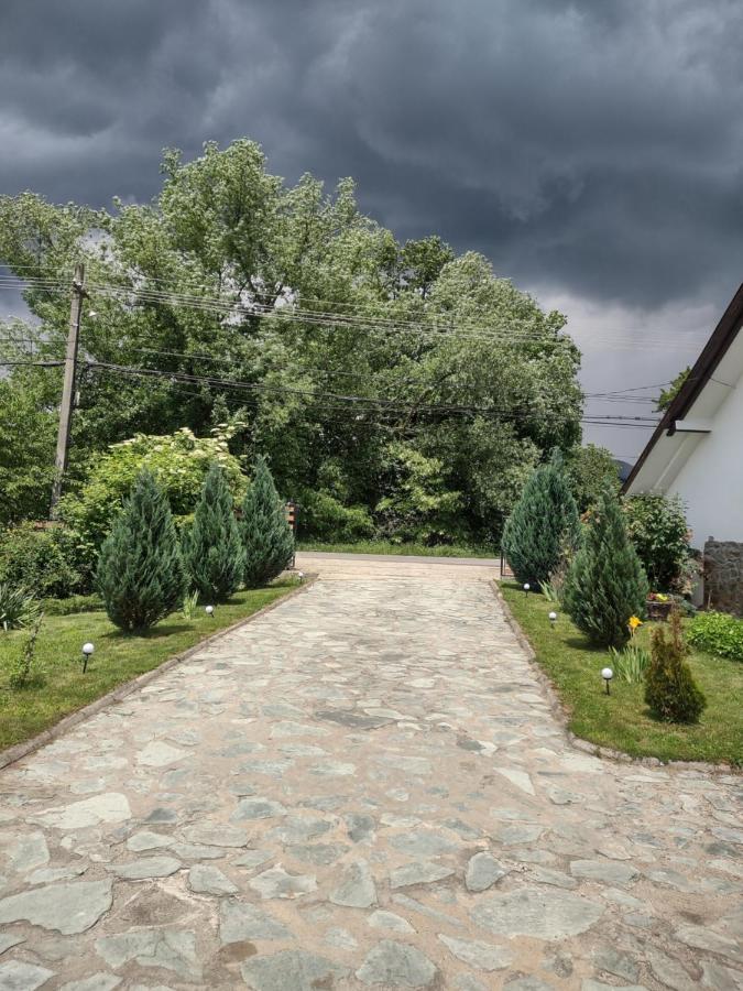 Pensiunea Codruta Cărpinişu Exteriör bild