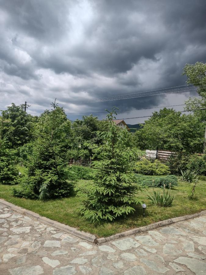 Pensiunea Codruta Cărpinişu Exteriör bild