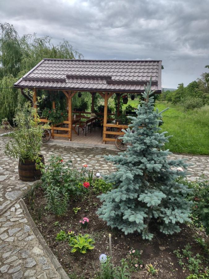 Pensiunea Codruta Cărpinişu Exteriör bild