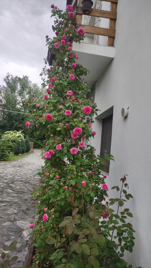 Pensiunea Codruta Cărpinişu Exteriör bild
