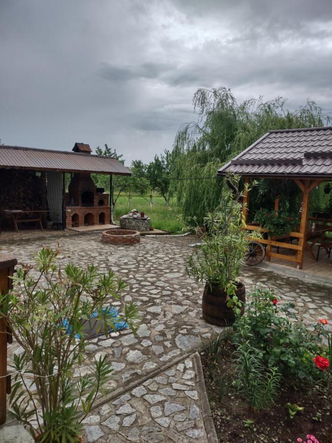 Pensiunea Codruta Cărpinişu Exteriör bild