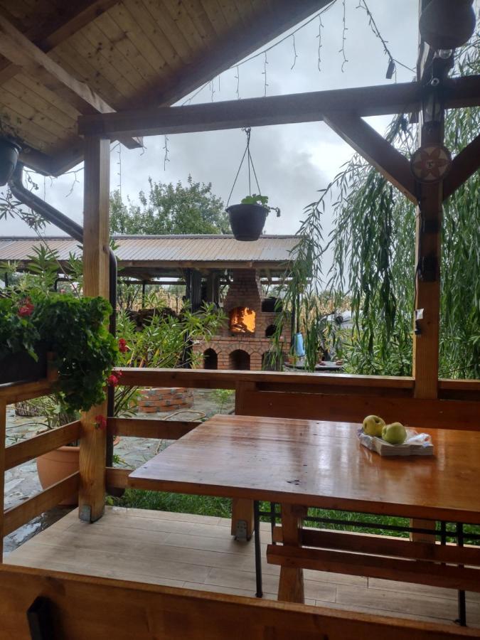 Pensiunea Codruta Cărpinişu Exteriör bild