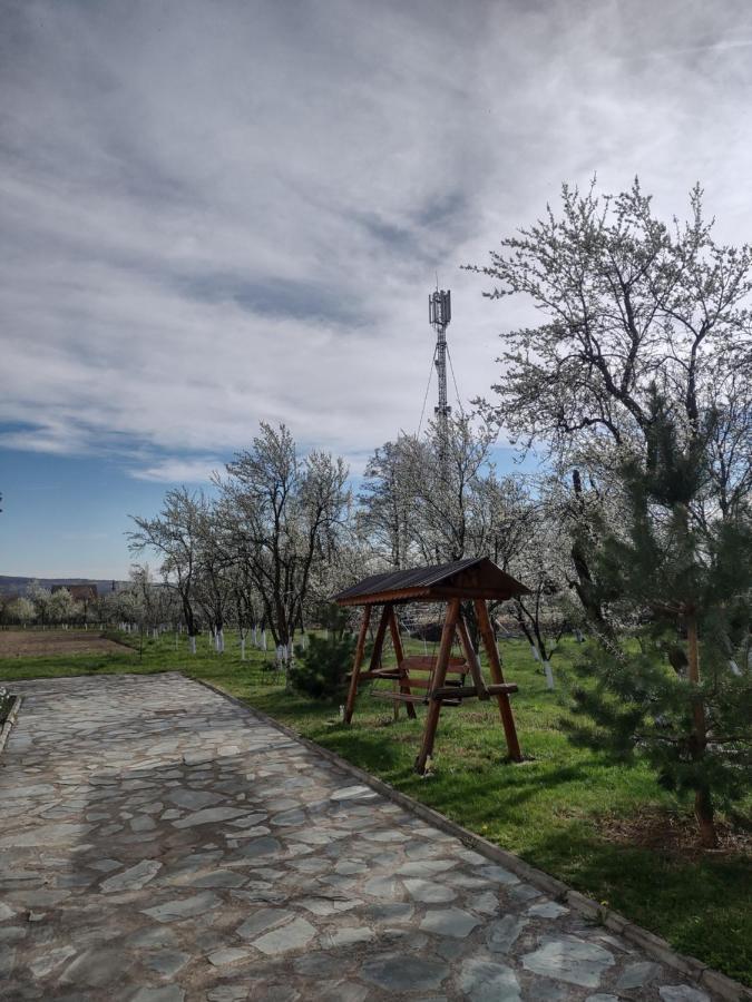 Pensiunea Codruta Cărpinişu Exteriör bild