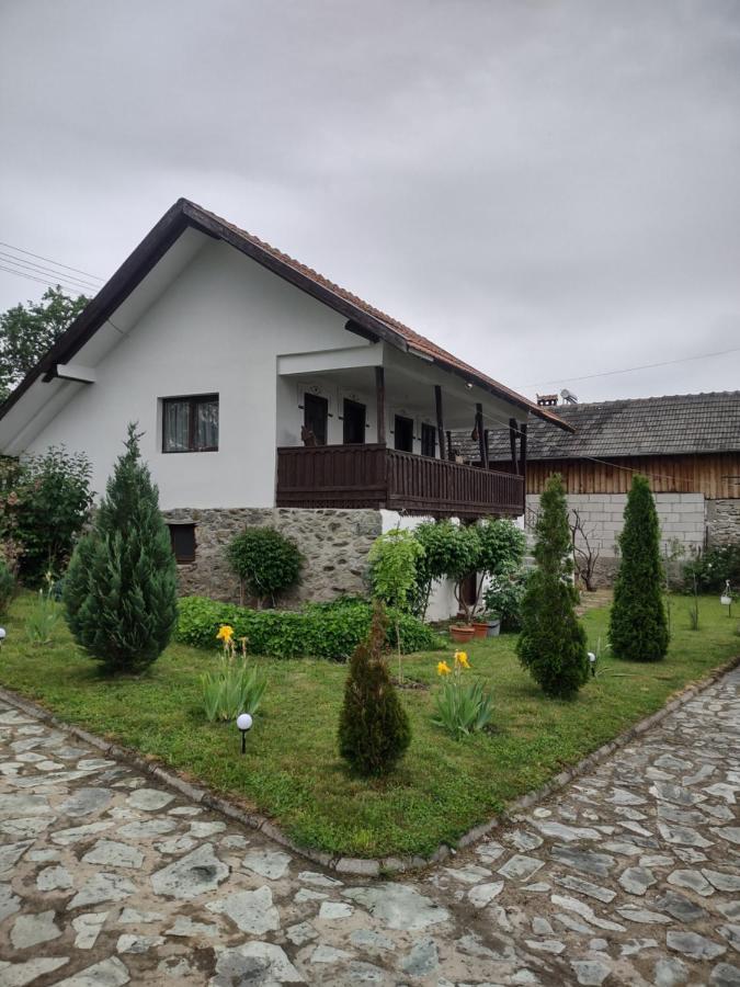 Pensiunea Codruta Cărpinişu Exteriör bild