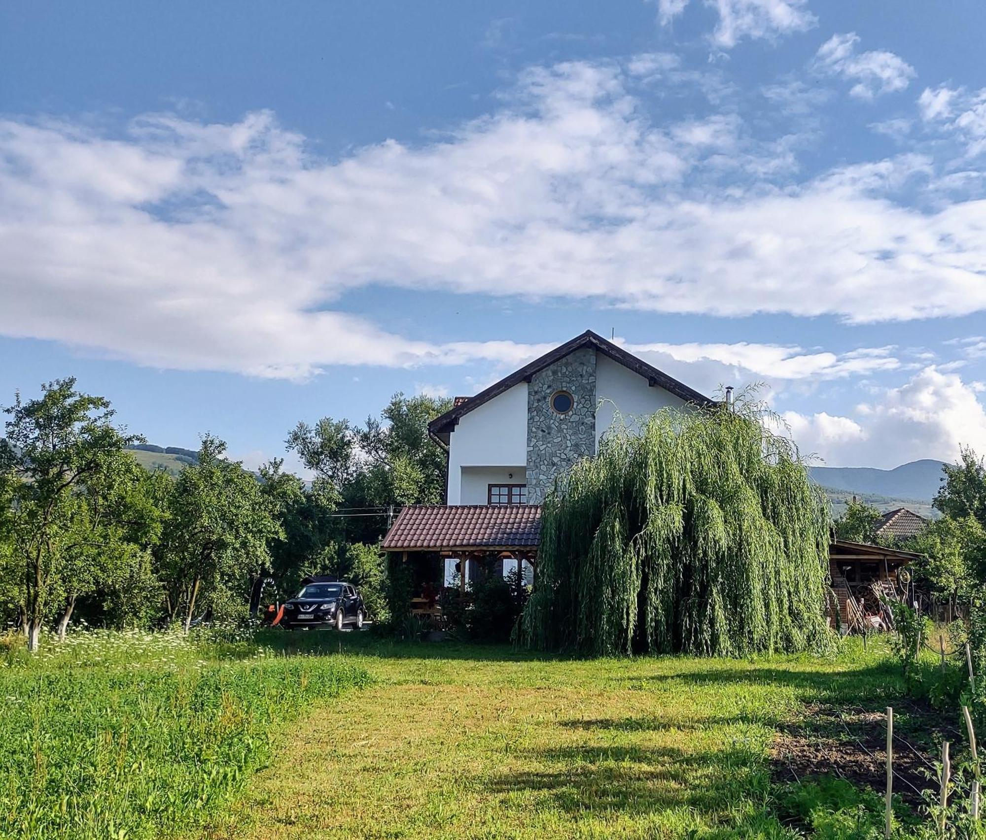 Pensiunea Codruta Cărpinişu Exteriör bild