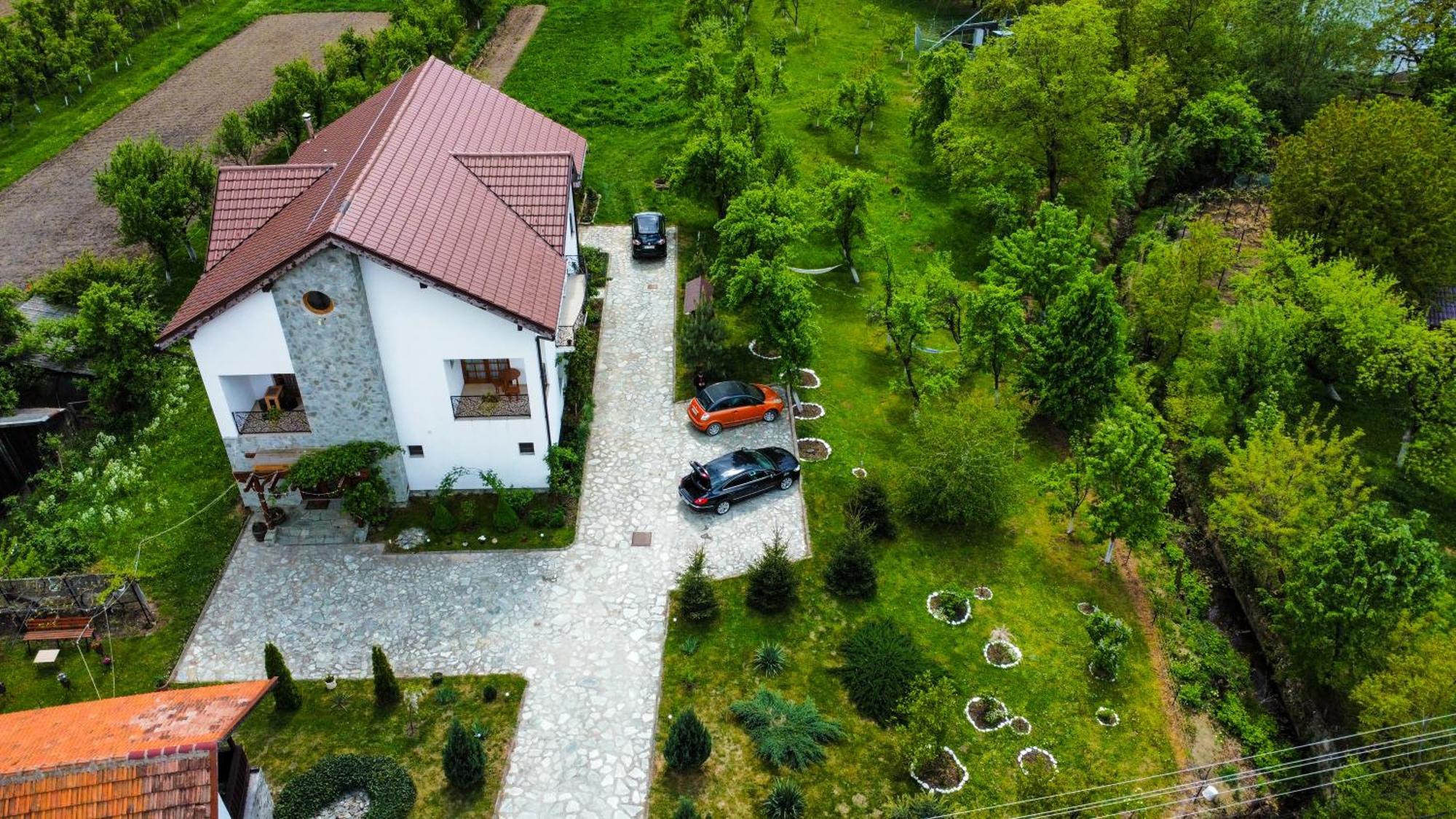 Pensiunea Codruta Cărpinişu Rum bild