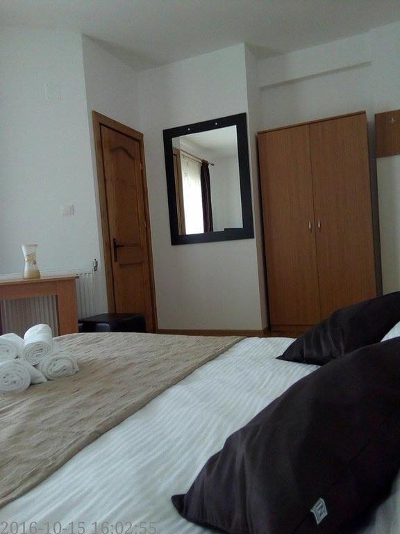Pensiunea Codruta Cărpinişu Exteriör bild