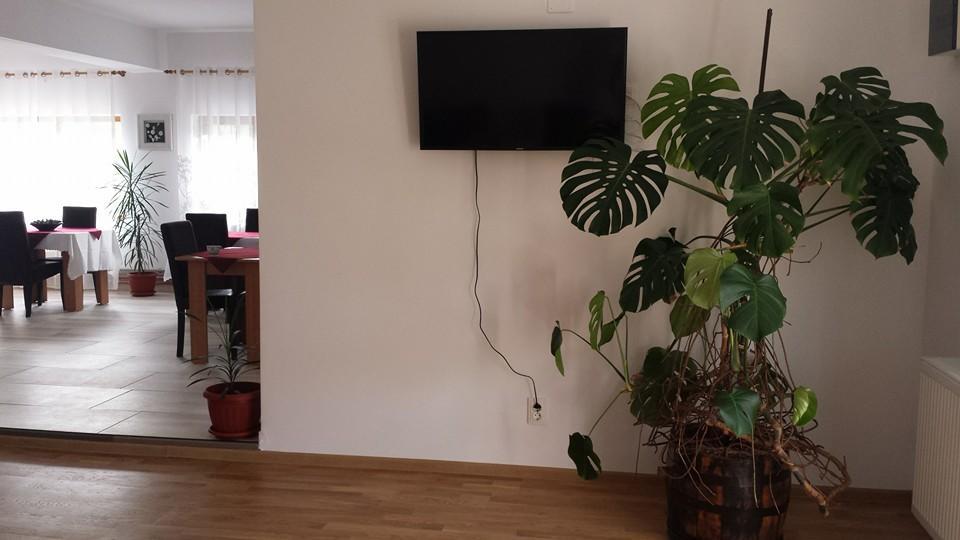 Pensiunea Codruta Cărpinişu Exteriör bild