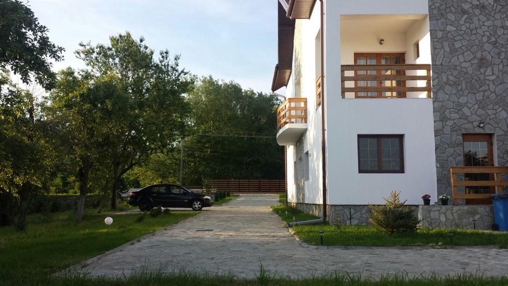 Pensiunea Codruta Cărpinişu Exteriör bild