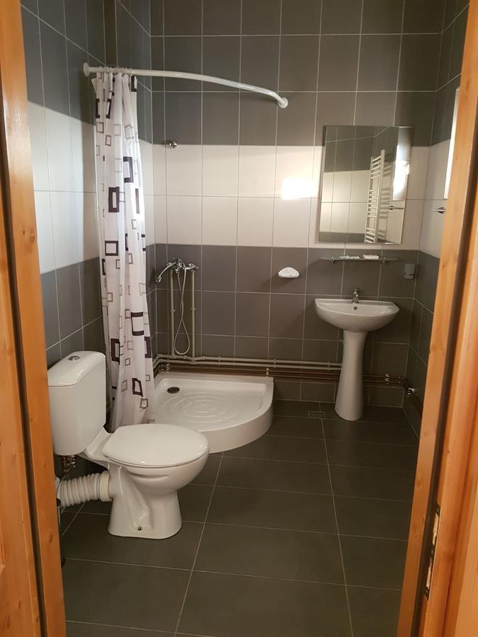 Pensiunea Codruta Cărpinişu Exteriör bild