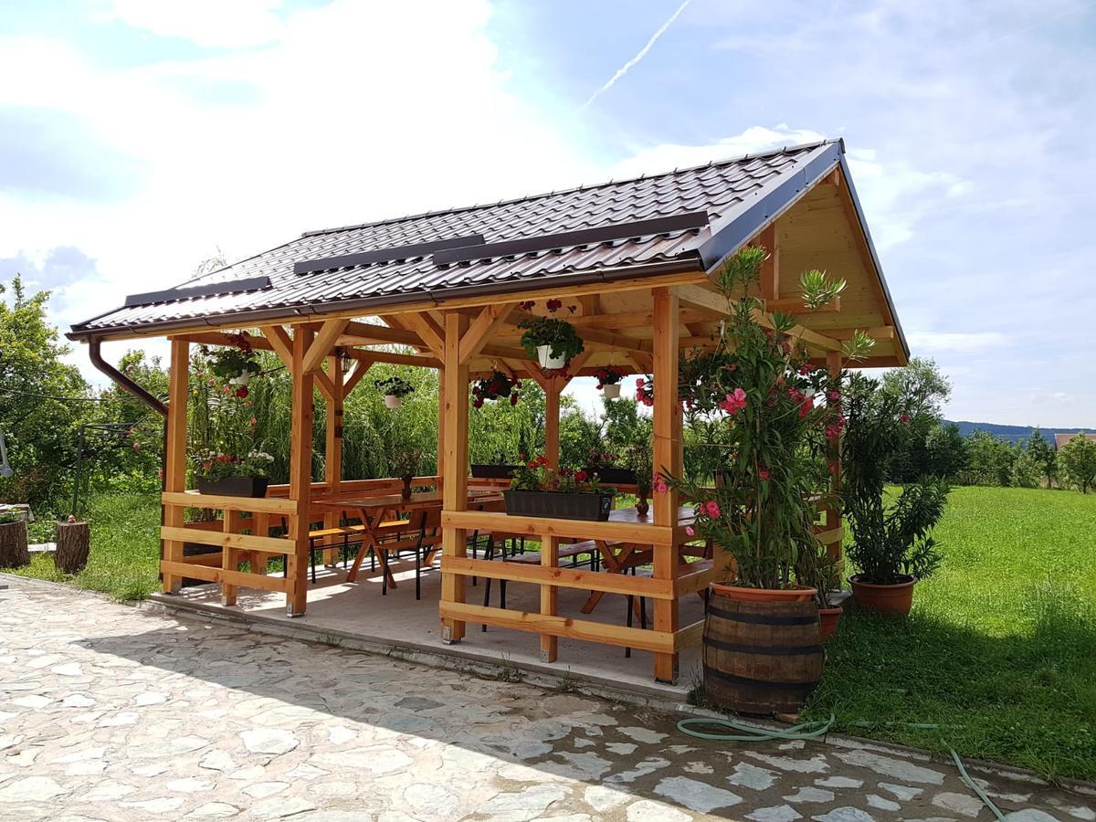 Pensiunea Codruta Cărpinişu Exteriör bild