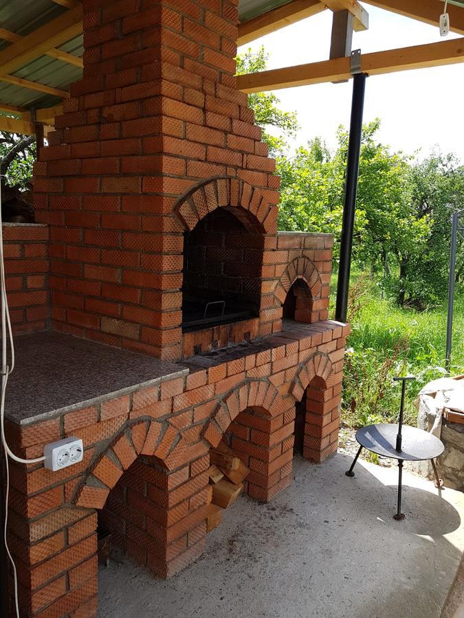Pensiunea Codruta Cărpinişu Exteriör bild