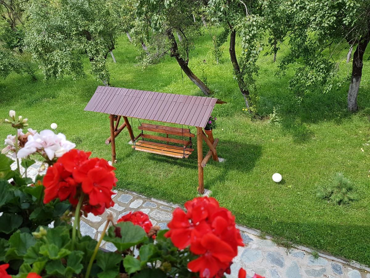 Pensiunea Codruta Cărpinişu Exteriör bild