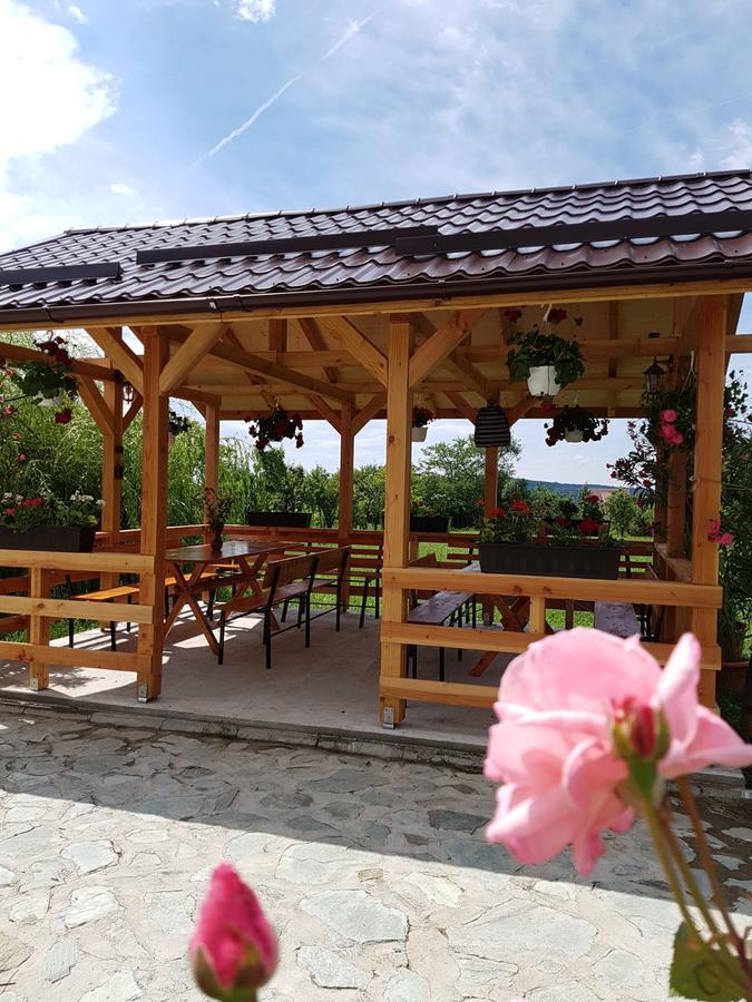 Pensiunea Codruta Cărpinişu Exteriör bild